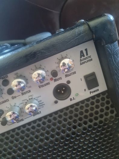 Laney A1 Acoustic Amplifier