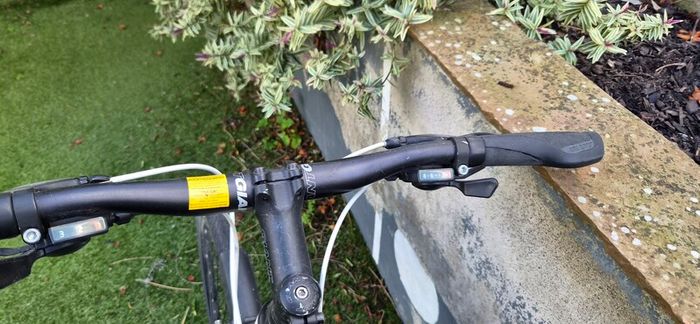 Ladies Giant Escape W 2 Hybrid Bike