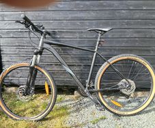 Marin Shoerline Mountain Bike