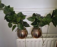 Artificial Plants x 2