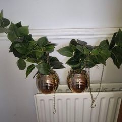 Artificial Plants x 2