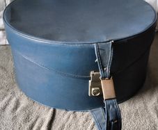 vintage antler hat case