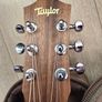 Taylor Baby Taylor BT2 Acoustic Guitar + Gig Bag Image 9