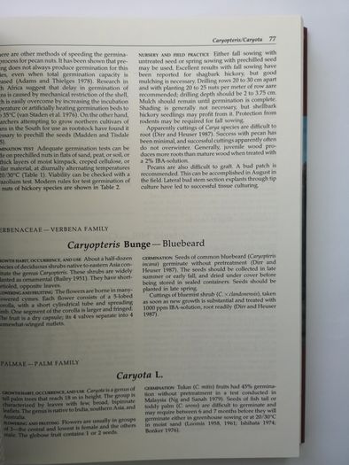 Seeds of Woody Plants in North America: Revised and Enlarged Edition
