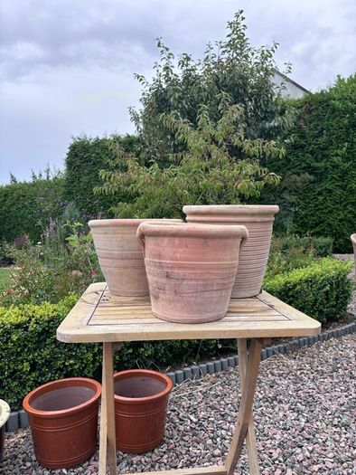 Set of 3 terracotta pots