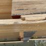 pallet Image 3
