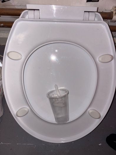 white toilet seat