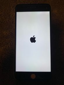 iphone 6 plus