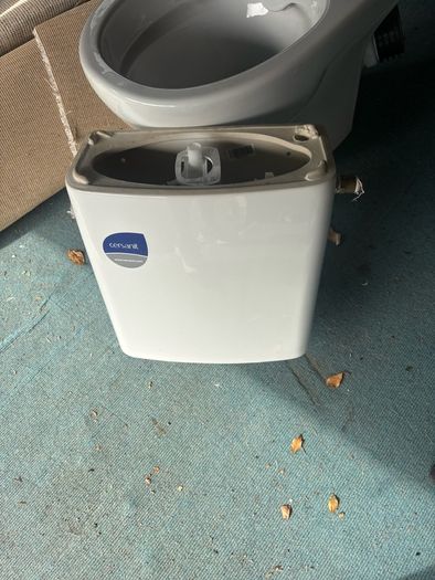 toilet