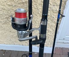 Fishing rod and reel