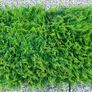 Artificial Wall Grass Image 2