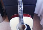 Stretton Payne Dreadnought Full Sized Steel String Acoustic Guitar