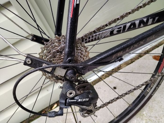 Giant defy