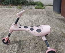 Scuttle Bug