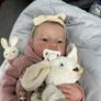 Reborn Doll 48cm Baby Reborn Free Delivery Image 9