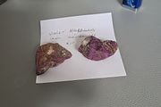 Violet phosphorus iron manganese specimens