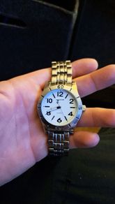 Stainless steel watch  quartz Tc model