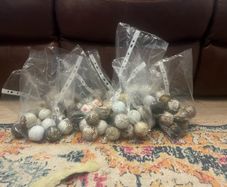 110 Golf Balls Unwashed Project Lot  29 Pro V1 /Pro V1X