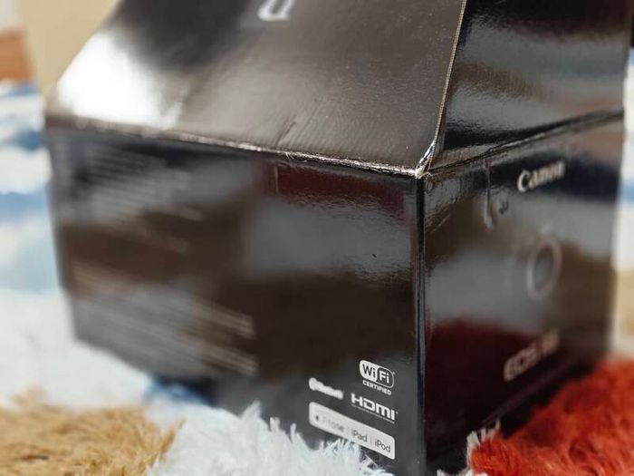 Canon Eos R8