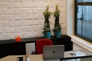 WallArt 24 pcs 3D Wall Panels GA-WA21 Oberon