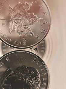 25oz x Canadian silver maples
