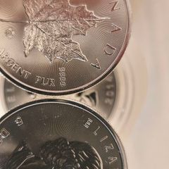 25oz x Canadian silver maples