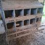 poultry equipment Image 2
