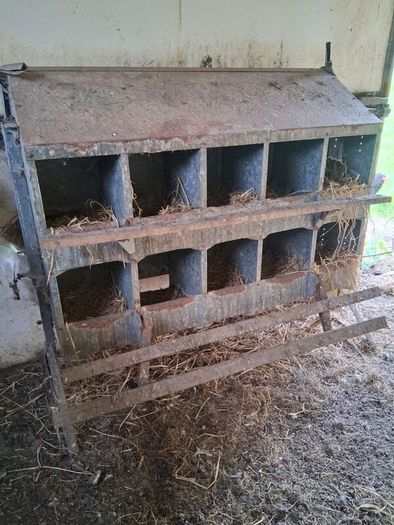 poultry equipment