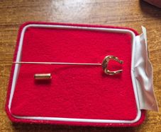 Vintage Horseshoe pin