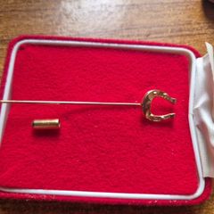 Vintage Horseshoe pin