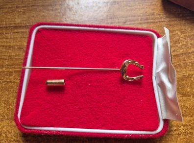 Vintage Horseshoe pin