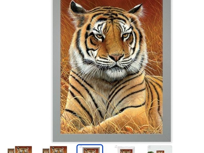 3D LiveLife Lenticular Wall Art Prints - Aloof From Deluxe Base - Unframed 3D Tiger - Size - 40cm x 30cm - RRP - 18.99