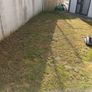 lawn mowing service Image 5
