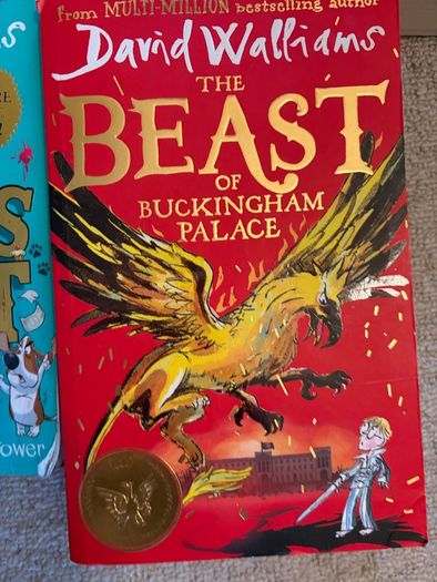 Various David Walliams Books