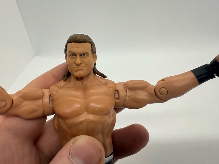 wwe Dolph Ziggler action figure