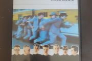 Madness - Divine. DVD.