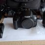 Canon EOS 2000D & Sigma 105mm macro lens Image 3