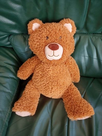Teddy Bear