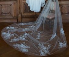 veil