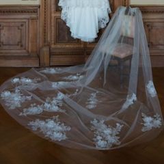 veil