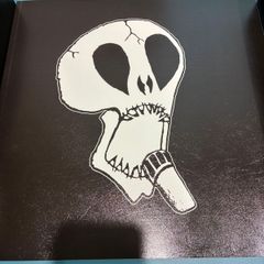 Subhumans 80 86 Box Set 2nd pressing green vinyl