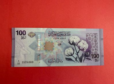 Syria  100 Pounds 2025  Pick 122' UNC