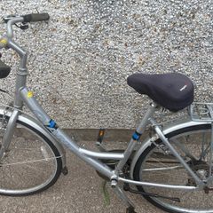 Giant womens bike