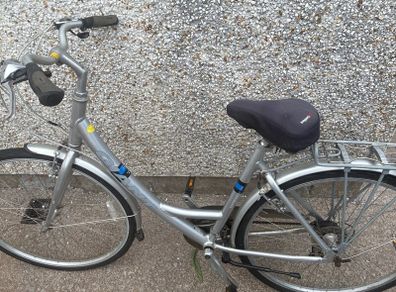 Giant womens bike