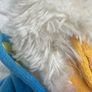 Disney Parks Donald Duck Approx 16" Soft Plush Rare Dirty Used Please look at the pictures Image 4