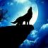wolfsmoon