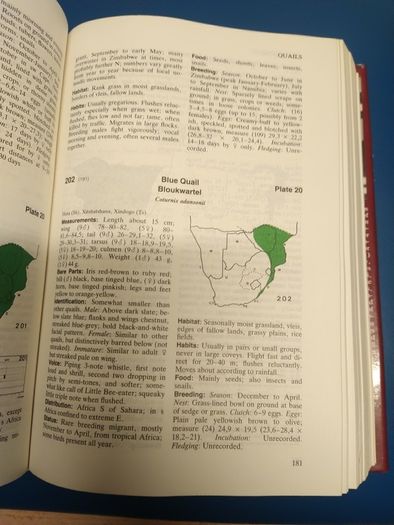 Roberts' Birds of Southern Africa