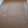 House hold Used Carpets Image 2