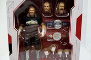 wwe ultimate edition Sami Zayn action figure
