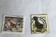 Irish stamps - Birds